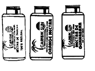 CARIBIK SUN FROZEN CONCENTRATE FOR ORANGE NECTAR logo