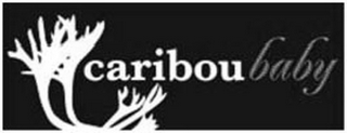 CARIBOU BABY logo