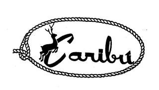 CARIBU logo