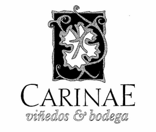 CARINAE VIÑEDOS & BODEGAS logo