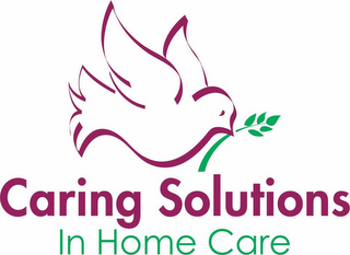 CARING SOLUTIONS IN HOME CARE logo