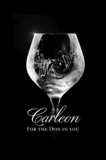 CARLEON FOR THE DON IN YOU logo