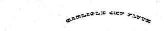 CARLISLE JET FLYTE logo