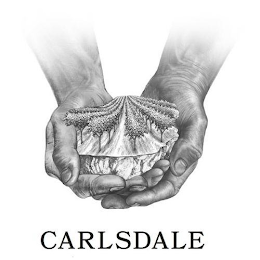 CARLSDALE logo