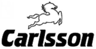 CARLSSON logo