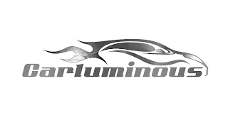 CARLUMINOUS logo