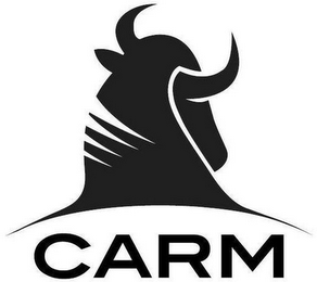 CARM logo
