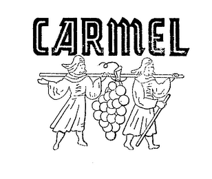 CARMEL logo
