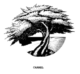 CARMEL logo