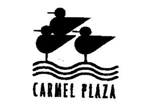 CARMEL PLAZA logo