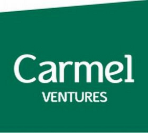 CARMEL VENTURES logo