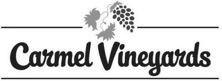 CARMEL VINEYARDS