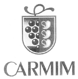 CARMIM logo