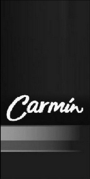 CARMÍN logo