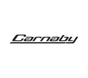 CARNABY logo