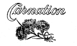 CARNATION logo