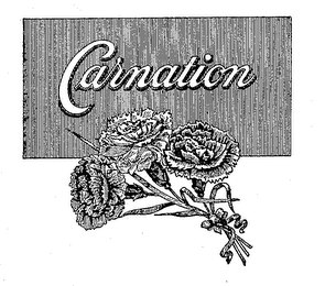 CARNATION logo