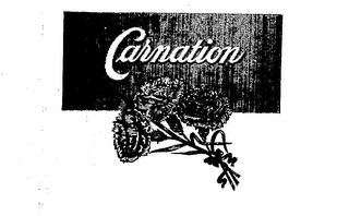 CARNATION logo