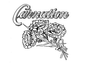 CARNATION logo