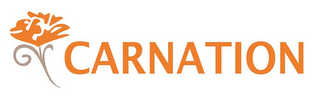 CARNATION logo
