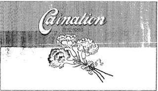 CARNATION BRAND