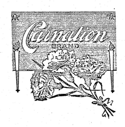 CARNATION BRAND logo