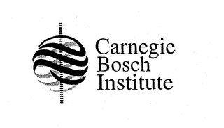 CARNEGIE BOSCH INSTITUTE logo
