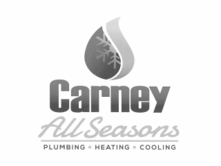 CARNEY ALL SEASONS PLUMBING HEATING COOLING logo