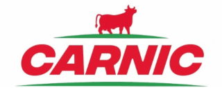 CARNIC logo