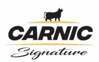 CARNIC SIGNATURE logo