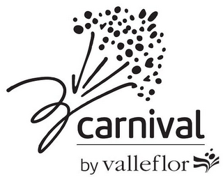 CARNIVAL BY VALLEFLOR logo