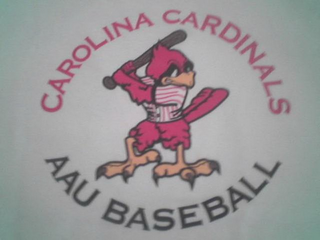 CAROLINA CARDINALS AAU BASEBALL logo