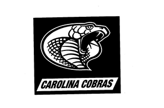 CAROLINA COBRAS logo