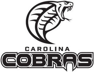 CAROLINA COBRAS logo