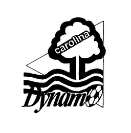 CAROLINA DYNAMO logo