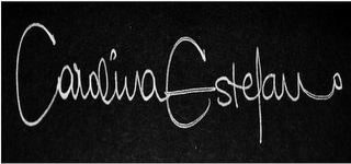 CAROLINA ESTEFAN logo