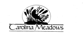 CAROLINA MEADOWS logo
