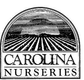 CAROLINA NURSERIES logo