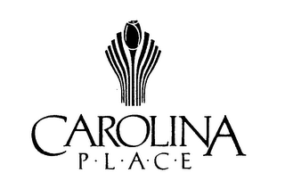 CAROLINA PLACE logo