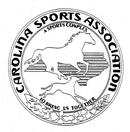 CAROLINA SPORTS ASSOCIATION A SPORTS COMPLEX TO BRING US TOGETHER logo