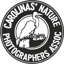 CAROLINAS' NATURE PHOTOGRAPHERS ASSOC logo
