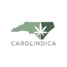 CAROLINDICA logo