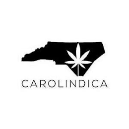 CAROLINDICA logo