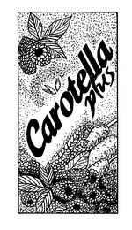 CAROTELLA PLUS logo
