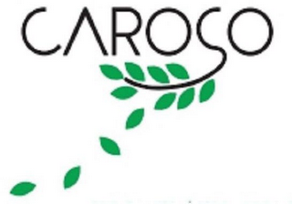 CAROÇO logo