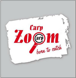 CARP ZOOM CARP BORN TO CATCH logo