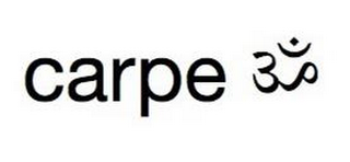 CARPE logo