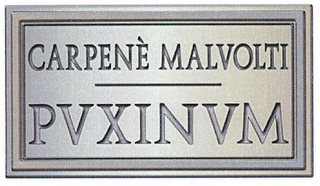 CARPENÈ MALVOLTI PUXINUM logo