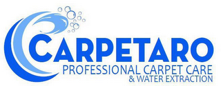 CARPETARO PROFESSIONAL CARPET CARE & WATER EXTRACTION logo