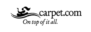 CARPET.COM ON TOP OF IT ALL. logo